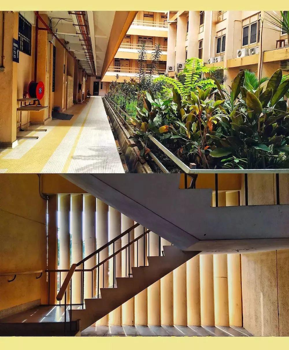 马来西亚马来亚大学 马来西亚马来亚大学