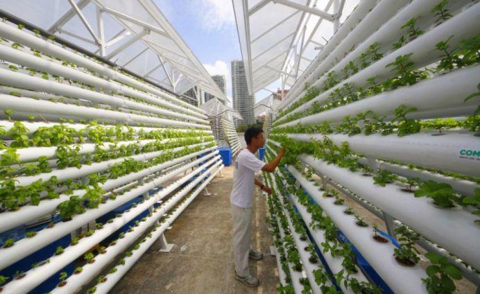 新加坡13个农场大盘点，溜娃周末休闲游最合适~