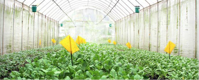 新加坡13个农场大盘点，溜娃周末休闲游最合适~