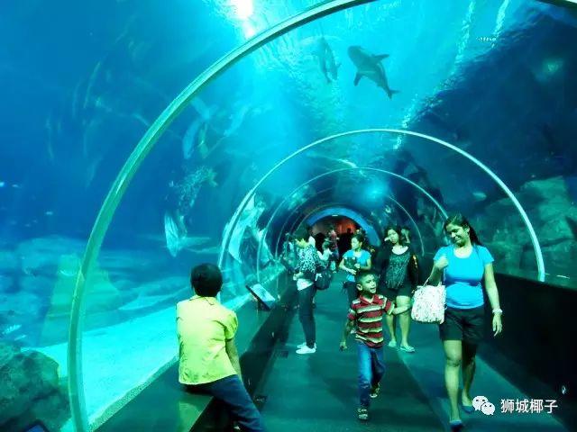 中国游客亲测！新加坡10个溜娃好去处~