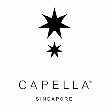 新加坡15个超级棒呆的圣诞自助餐推荐~