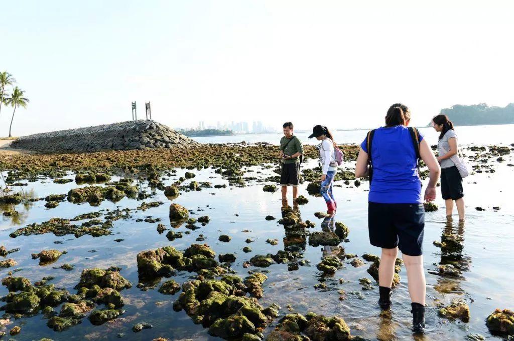 10个只有新加坡老炮儿才知道的小众景点~