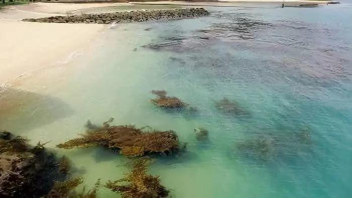 10个只有新加坡老炮儿才知道的小众景点~