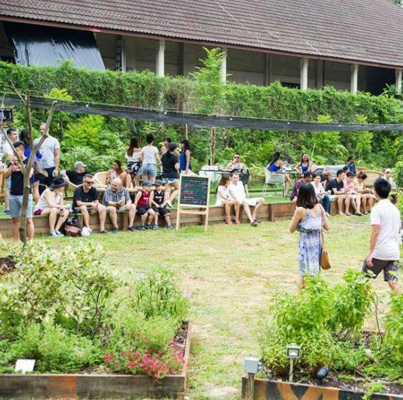 新加坡13个农场大盘点，溜娃周末休闲游最合适~