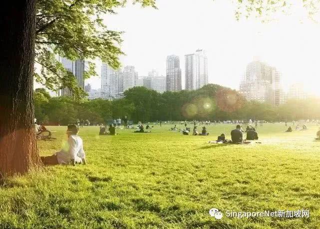 性价比最高的发达国家移民项目——新加坡创业投 资移民